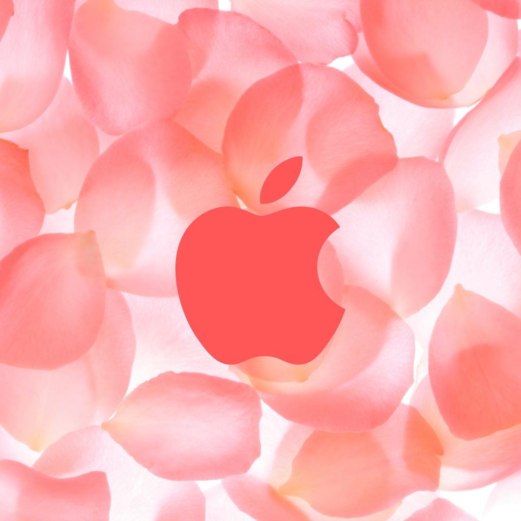 1024x1024 wallpaper 4k Apple Logo Iphone Macos Beautiful Flower Background iPad Wallpaper 1024x1024 pixels resolution
