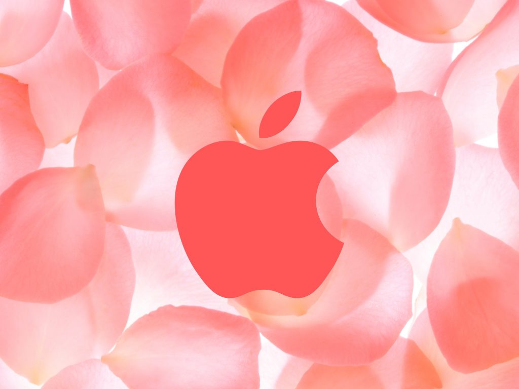 1024x768 wallpaper 4k Apple Logo Iphone Macos Beautiful Flower Background iPad Wallpaper 1024x768 pixels resolution