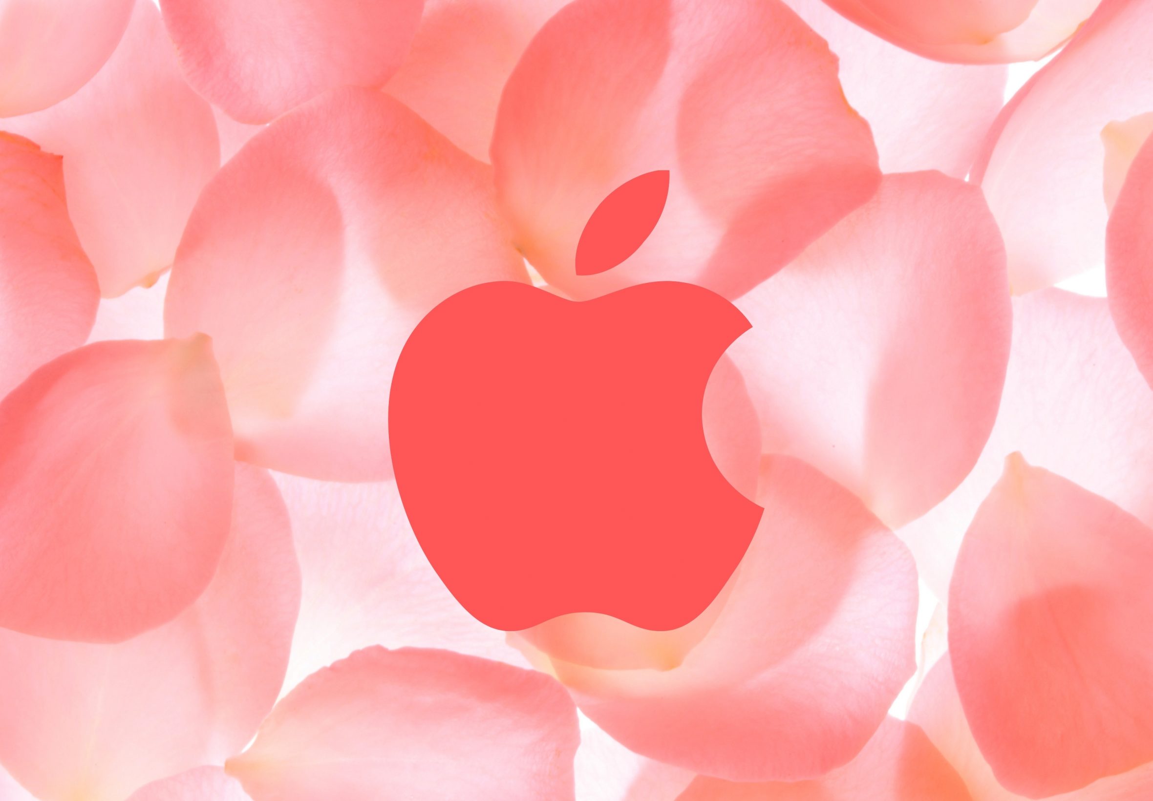 2360x1640 iPad Air wallpaper 4k Apple Logo Iphone Macos Beautiful Flower Background iPad Wallpaper 2360x1640 pixels resolution