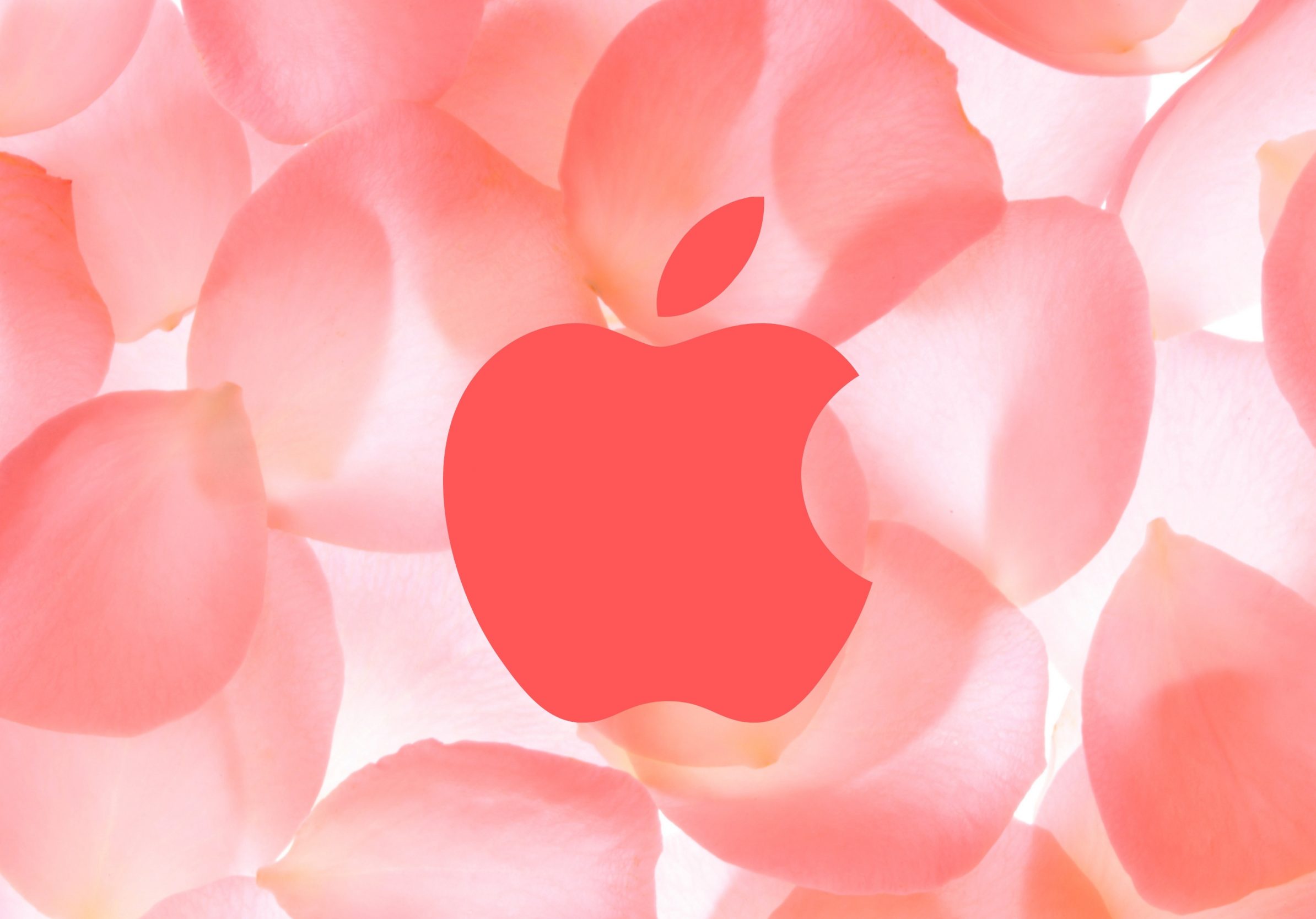 2388x1668 iPad Pro wallpapers Apple Logo Iphone Macos Beautiful Flower Background iPad Wallpaper 2388x1668 pixels resolution