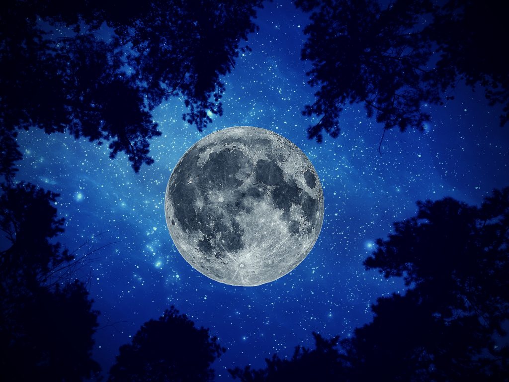 1024x768 wallpaper 4k Night Moon Sky Trees iPad Wallpaper 1024x768 pixels resolution