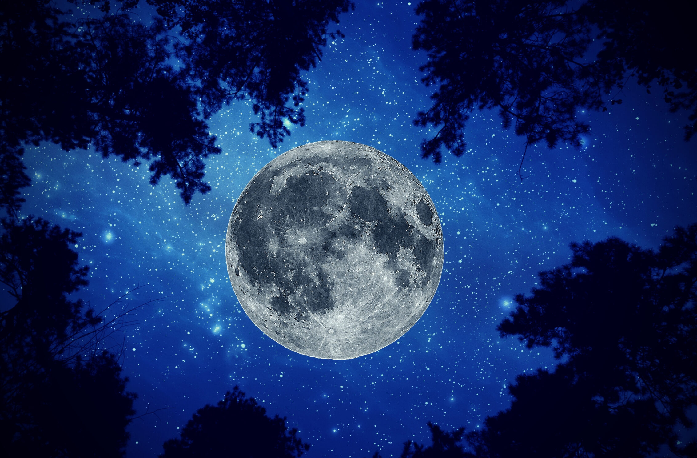 2266x1488 iPad Mini wallpapers Night Moon Sky Trees iPad Wallpaper 2266x1488 pixels resolution