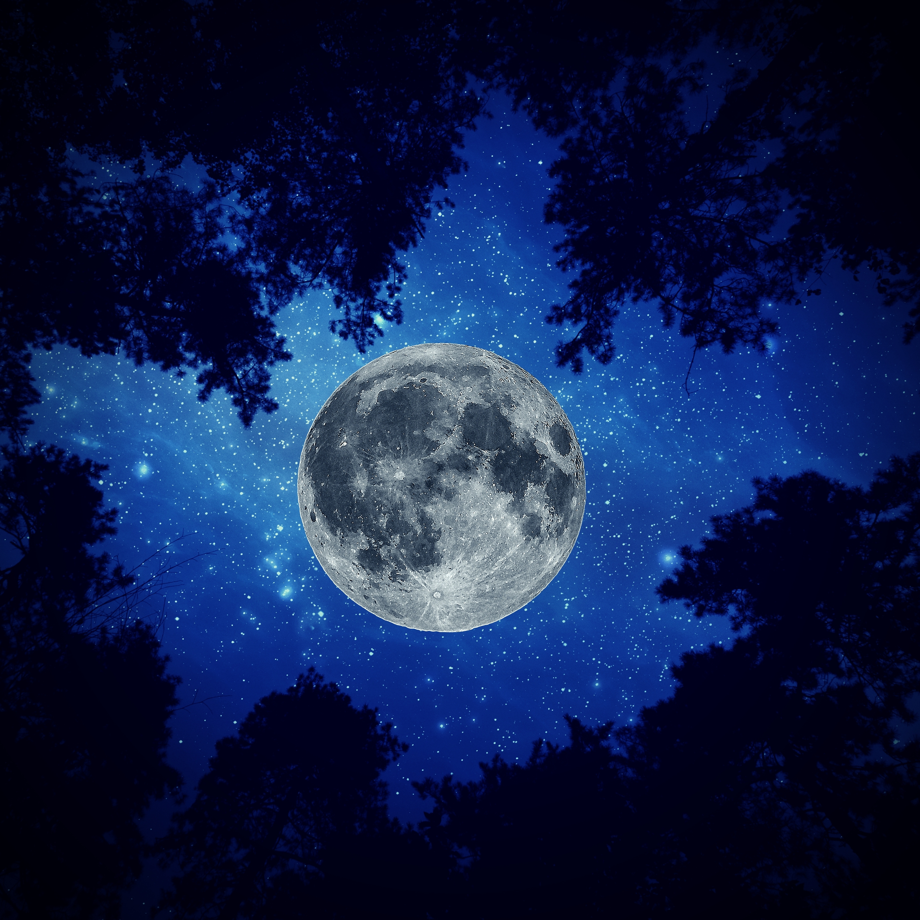 Night Moon Sky Trees iPad Wallpaper