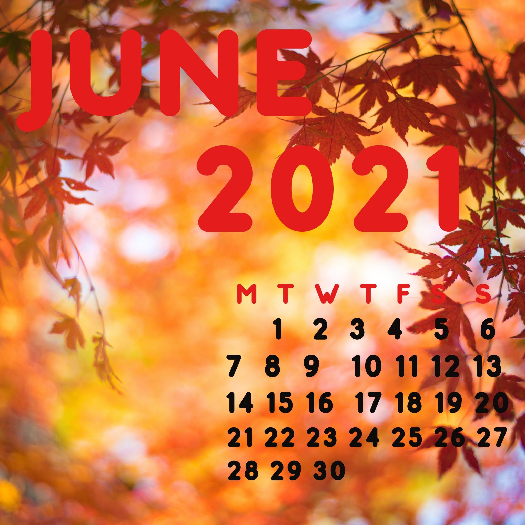 2048x2048 wallpapers iPad retina June 2021 iPad Wallpaper 2048x2048 pixels resolution