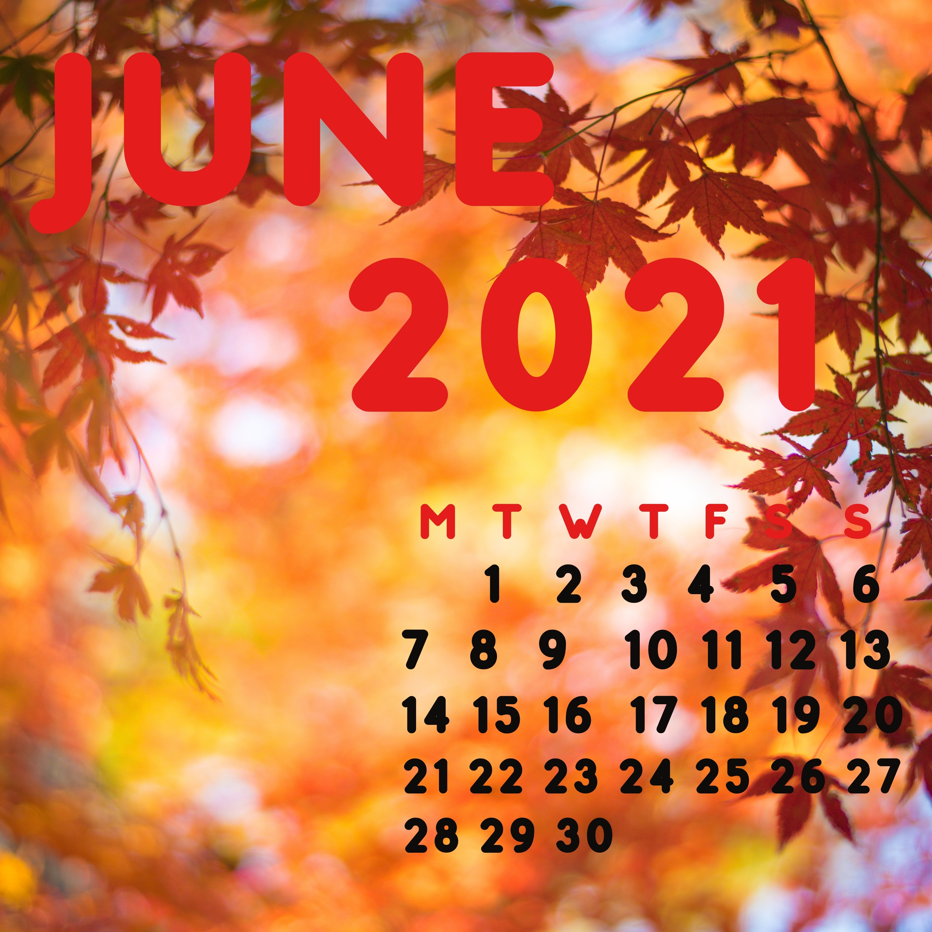 June 2021 iPad Wallpaper