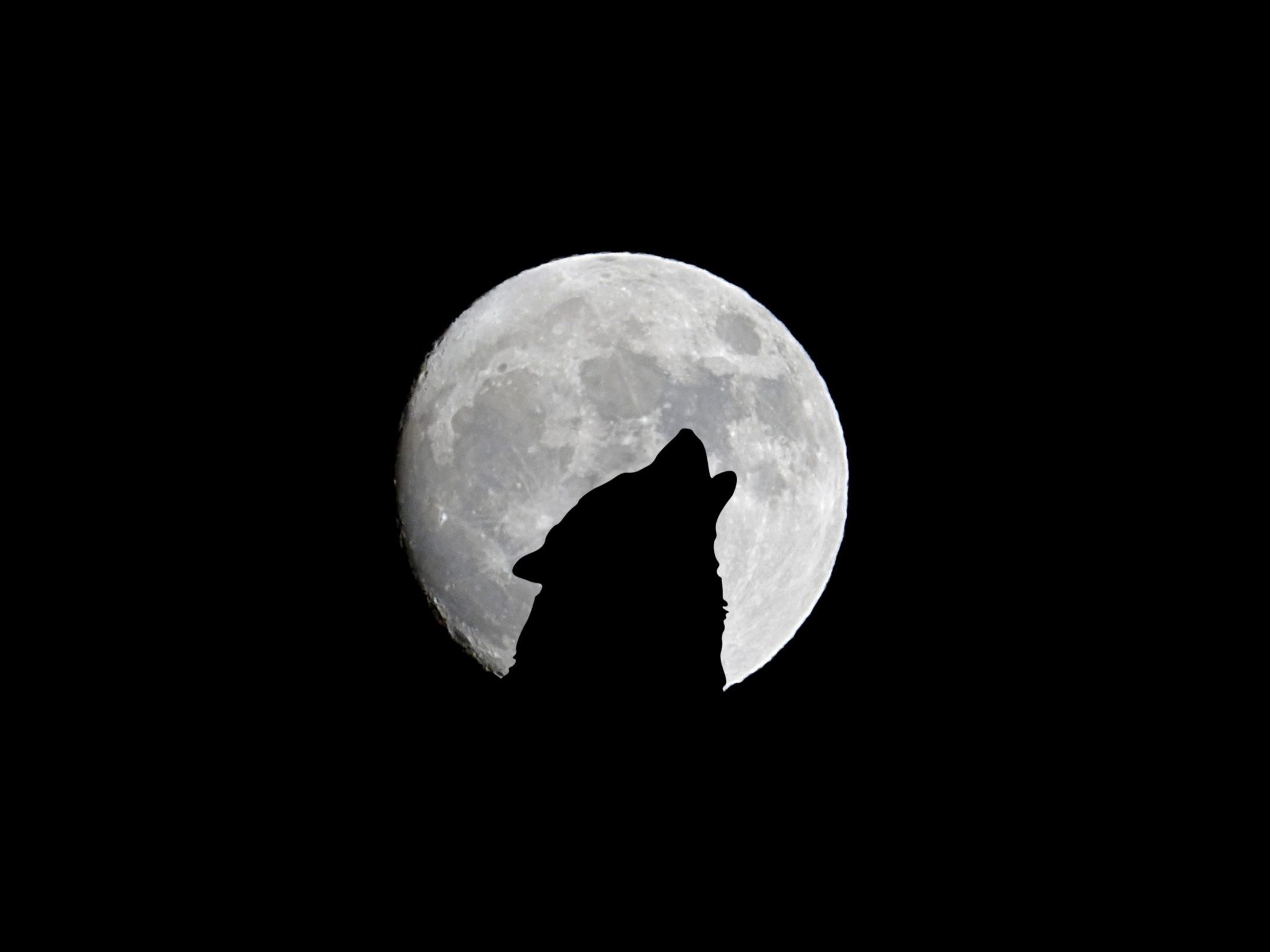 2160x1620 iPad wallpaper 4k Silhouette of Wolf Full Moon Night Darkness iPad Wallpaper 2160x1620 pixels resolution